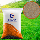 Sementes de Grama dos Batatais Premium - TerraVerde™