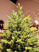 Árvore de Natal Pinheiro Realista New York – [EDIÇÃO LUXO + BRINDE EXCLUSIVO]